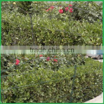 Economic Garden Fence, Garden Border Fence photo-5