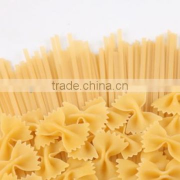 China industrial pasta production line macaroni spaghetti machine pasta processing machinery