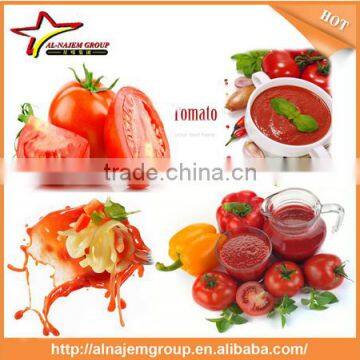 Best quality tomato paste sachet packing machine tomato puree making machine tomato sauce making machine