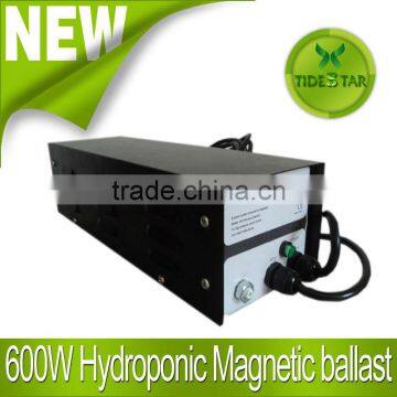 600W Hydroponics Magnetic Ballast/Grow Light Magnetic Ballast