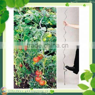 Tomato Plant Spiral Support Stakes photo-3