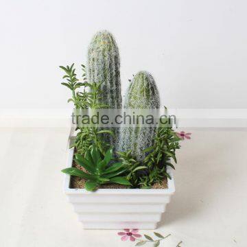 SJ1801212 Artificial Small Succulent Bonsai Plant/mini Cheap Plastic Plant photo-5