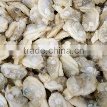 2016 BEST CHOICE CLAM SUPPLIER SHORT NECKED CLAM