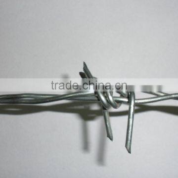 Cheap Price Electro/hot Dipped Galvanized Barbed Wire photo-2