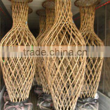 Lagerstroemia Indica Bottle Shape Cage Shape Trees Loading Container photo-6