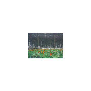 Agriculture Greenhouse Shade Netting , 2 x 100m , 30gsm - 300gsm