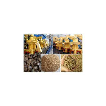 Pellet Mill/ Wood Pellet Mill/Wood Pellet Production Line