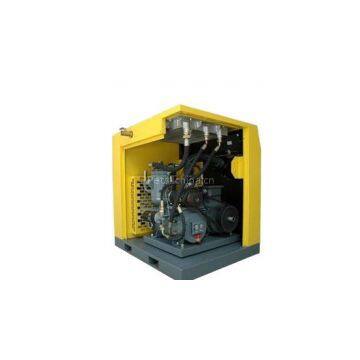 Variable Frequency Screw Compressor
