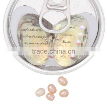 2017 New Good Price Freshwater Cultured Pearl Oyster With High Quality photo-5