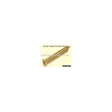 Torx Head Concrete Screws