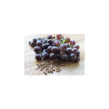 Grape Seed Extract