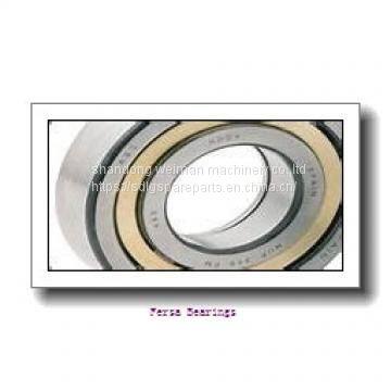 Fersa Bearings