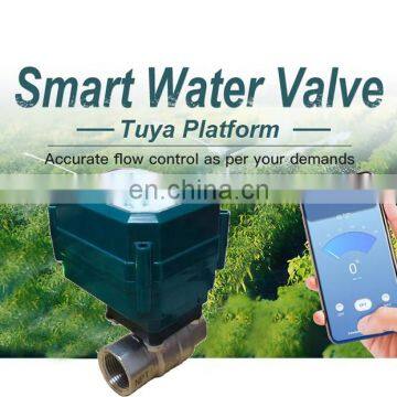 Smart Irrigation Valve Wifi Automatic Shut off Smart Valve Stainless Steel Brass BSP NPT Motorized Flow Control Valve photo-4