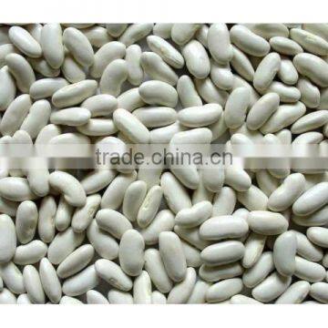 Quality Kidney beans,Red and Black Kidney beans,white Kidney beans