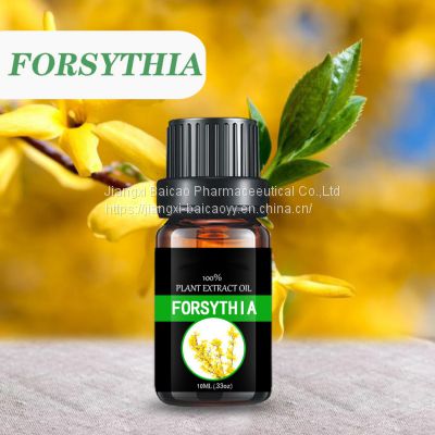 Forsythia oil fragrance oil aromatherapy essential oil for health care and skin care