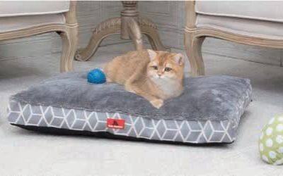 Soft Memory Foam Pet Bed