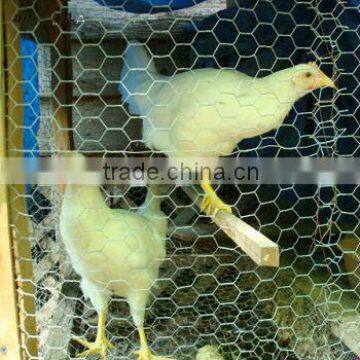 Poultry Mesh small animals housing, agricultural use netting