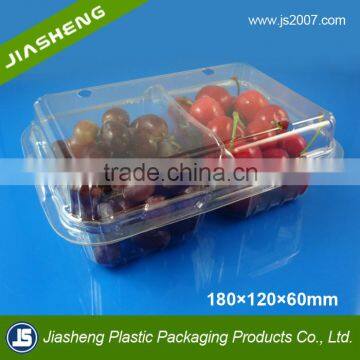 Division Fruit Plastic Packaging Blister Container Trays