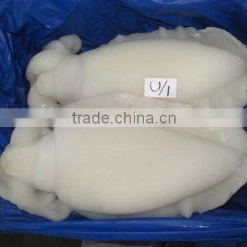 FROZEN CUTTLEFISH WHOLE CLEANED I F