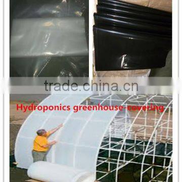 Wholesale hydrographic film with high quality