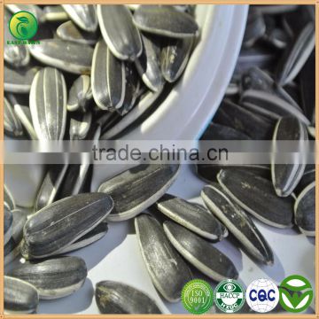 Seeds for Harvest Chinese Sunflower Seeds, Oil Sunflower Seed Ton Price