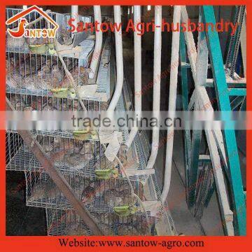 Top level new coming high quality trapezoid quail cage