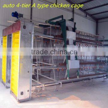 A type and H type type multi-tier automatic poultry chicken feeding system