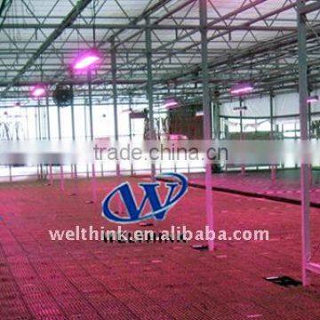 High efficiency LED grow light