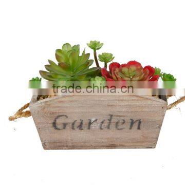 Hot selling Colorful Mini Succulent flower arrangement with wooden pot