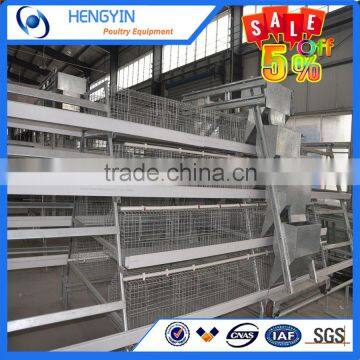 Hot Selling in South Africa A Type Layer Cage for Sale photo-3