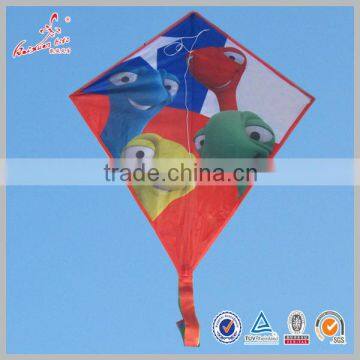 Chinese Heat Transfer full color Printing Cartoon Picture Kite with competitive price