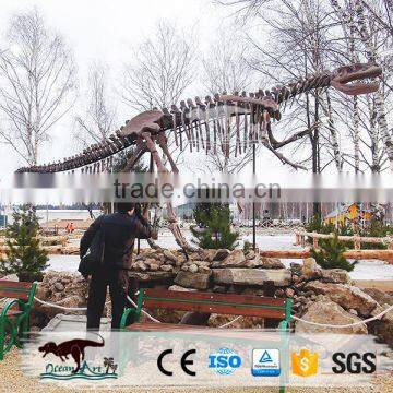 OA4016 High Quality Life Size Dinosaur Skeleton Model