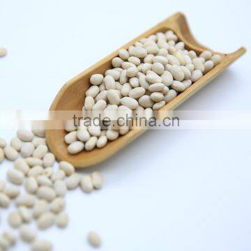 White Kidney Beans (Japanese Type) photo-4
