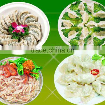 China most popular automatic dumpling making machine with different specs moulds