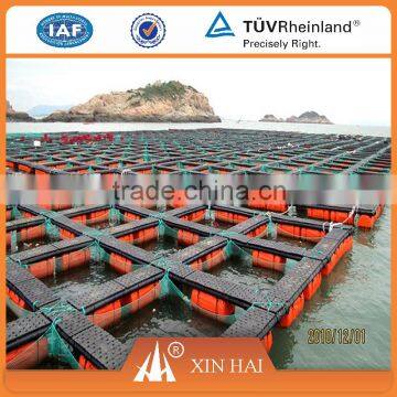 shrimp cage Type fish trap/crab trap net/crab pot