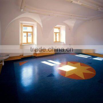 Homogeneous Indirection Hospital Flooring Ceramic Tiles and Rolls Together