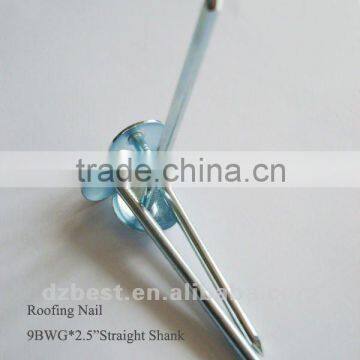 GI roofing nail
