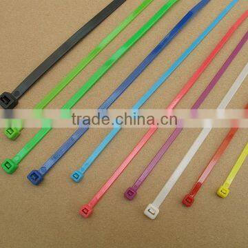 Cable Tie (CE,ROHS,PAHS,REACH,SVHC,SGS,ISO9001) photo-6