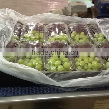 Fresh Grapes ( Superior -Flame -Crimson-Thompson -Red Globe ...)