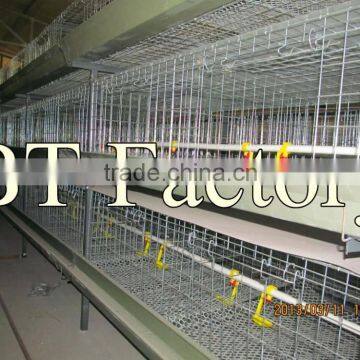 2015 BT-Factory new design H type poultry broiler cages(Factory price) for Negria