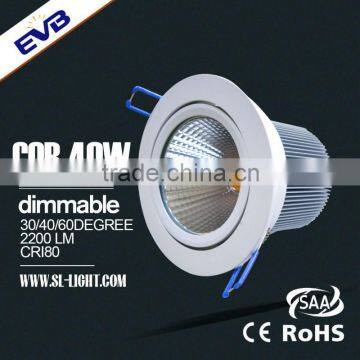 led 40W ceiling light