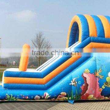 Inflatable Slide for Fun, Children Inflatable Dry Slide With Fish
