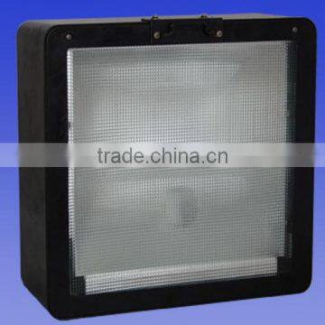 Flood Lamp (JJM-F1005)