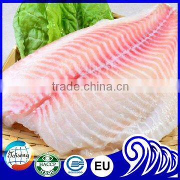 Frozen Fish Tilapia Fillet Sea Food