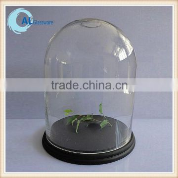 clear glass bell jar with wooden base glass dome with base