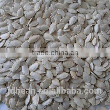 shine skin pumpkin seeds 11mm+, 12mm+ 2014 new croop