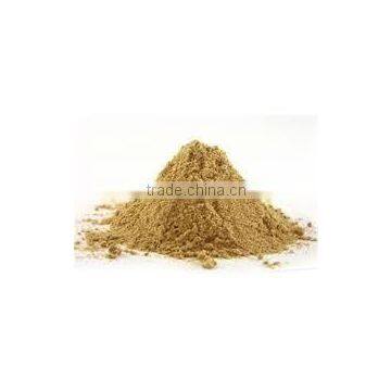 Spray Dried Chikoo Powder Supplier