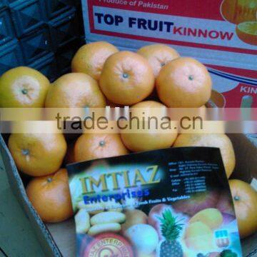 Oranges Mandarin Kinno