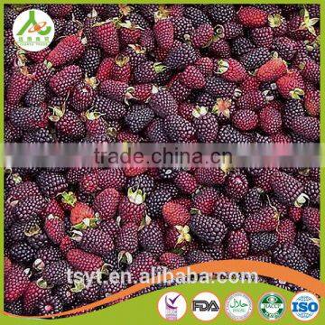 Asian Frozen Vegetables and Fruits Iqf Frozen Blackberry photo-6