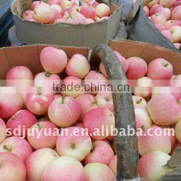 Juyuan Fresh Gala Apple